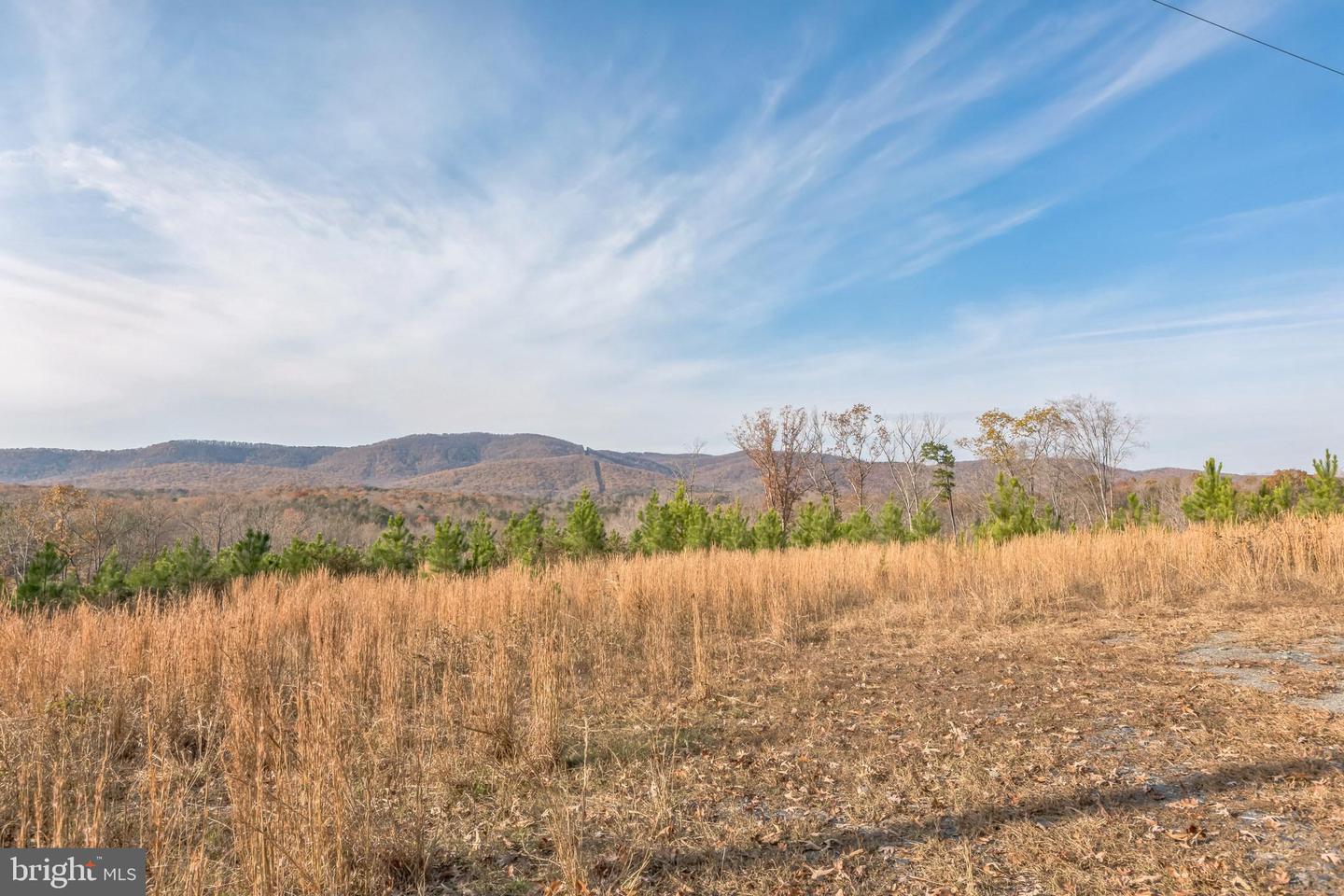 7599 SECRETARYS SAND RD, SCHUYLER, Virginia 22969, 3 Bedrooms Bedrooms, ,2 BathroomsBathrooms,Residential,For sale,7599 SECRETARYS SAND RD,VAAB2001004 MLS # VAAB2001004