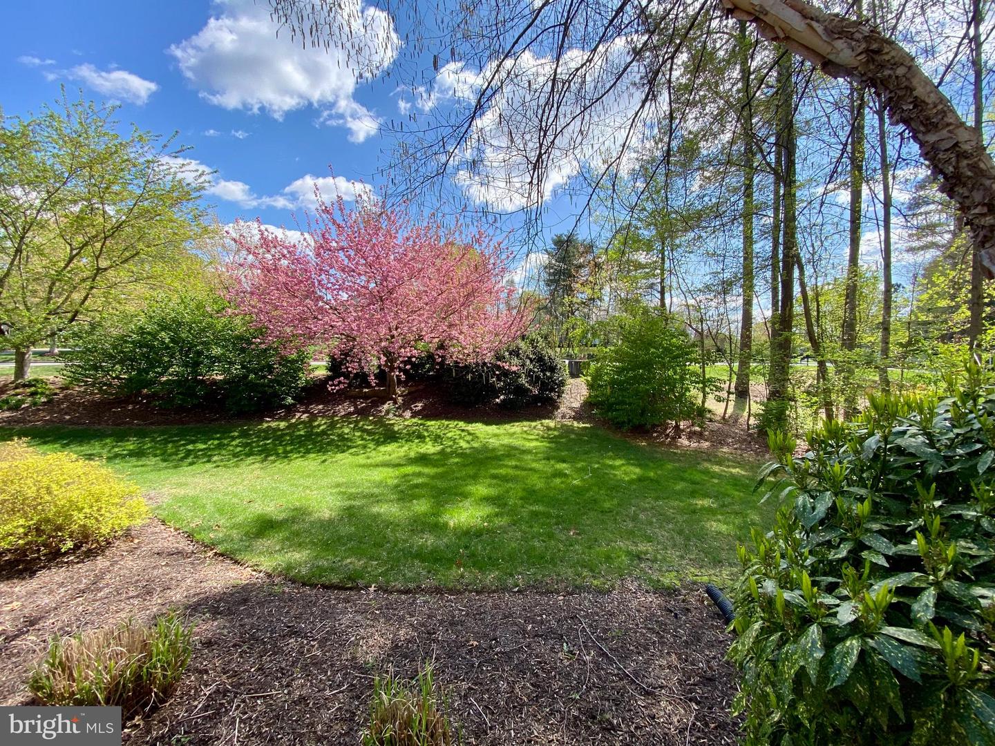 11800 FAWN LAKE PKWY, SPOTSYLVANIA, Virginia 22551, 4 Bedrooms Bedrooms, ,3 BathroomsBathrooms,Residential,For sale,11800 FAWN LAKE PKWY,VASP2033780 MLS # VASP2033780