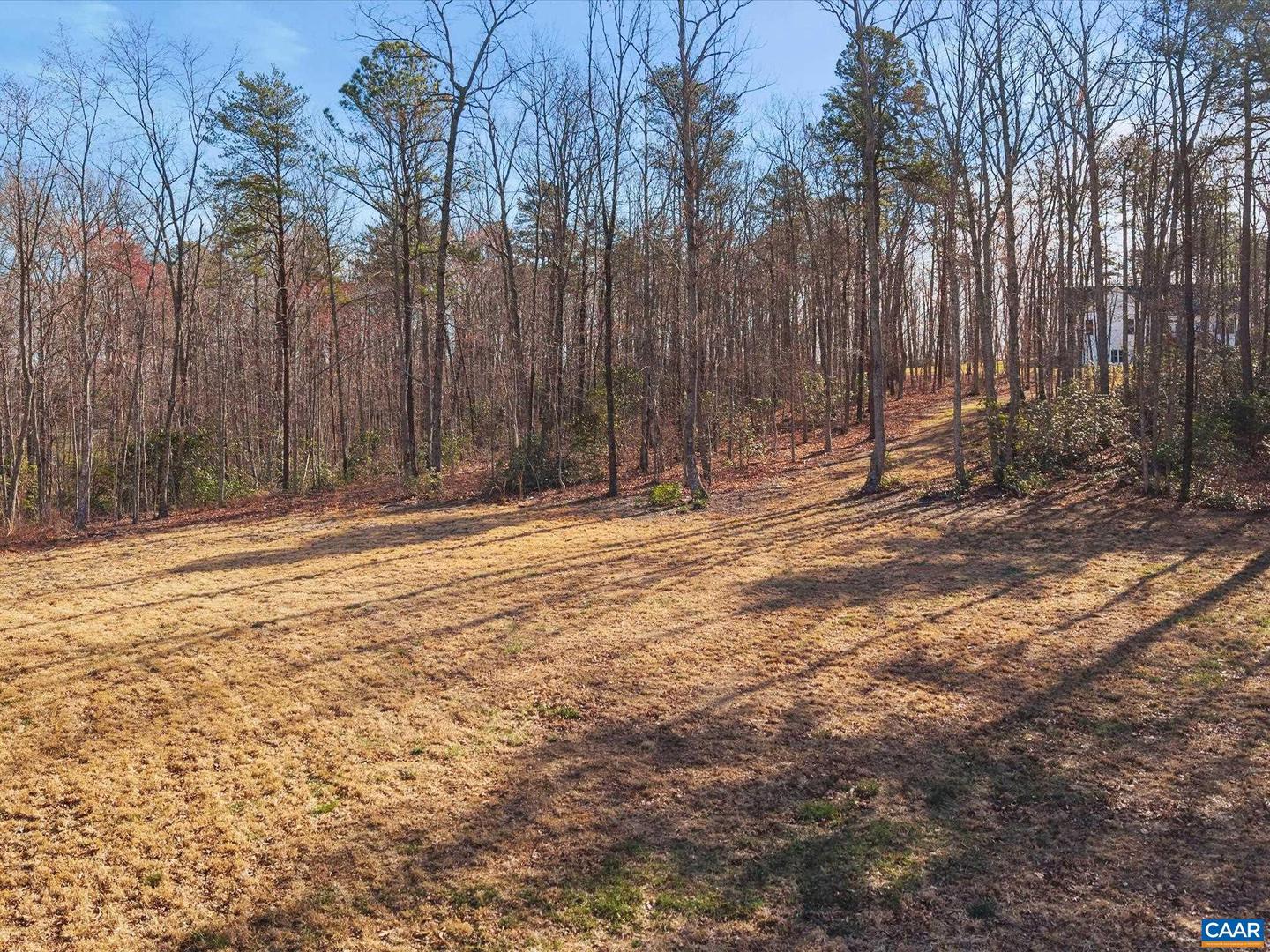 3185 POLECAT CREEK LN, SCOTTSVILLE, Virginia 24590, 4 Bedrooms Bedrooms, ,3 BathroomsBathrooms,Residential,For sale,3185 POLECAT CREEK LN,665458 MLS # 665458