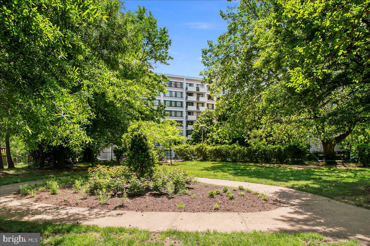 4501 ARLINGTON BLVD #709, ARLINGTON, Virginia 22203, 3 Bedrooms Bedrooms, ,2 BathroomsBathrooms,Residential,For sale,4501 ARLINGTON BLVD #709,VAAR2056302 MLS # VAAR2056302