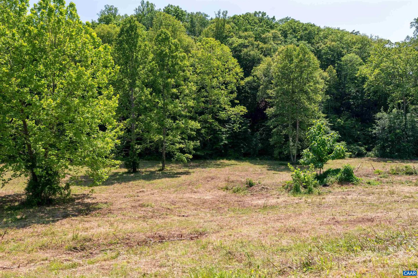 1467 HARRIS CREEK RD, CHARLOTTESVILLE, Virginia 22902, ,Land,For sale,1467 HARRIS CREEK RD,665526 MLS # 665526