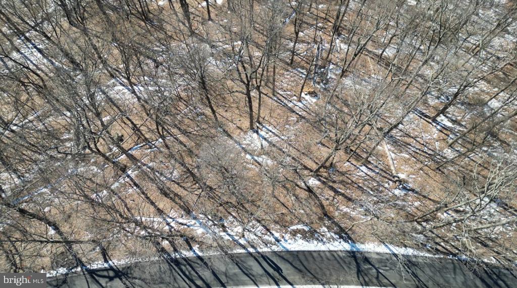 1070 GRANNY SMITH RD, LINDEN, Virginia 22642, ,Land,For sale,1070 GRANNY SMITH RD,VAWR2011400 MLS # VAWR2011400