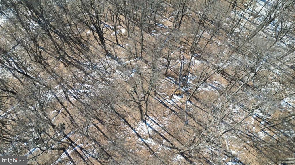 1070 GRANNY SMITH RD, LINDEN, Virginia 22642, ,Land,For sale,1070 GRANNY SMITH RD,VAWR2011400 MLS # VAWR2011400