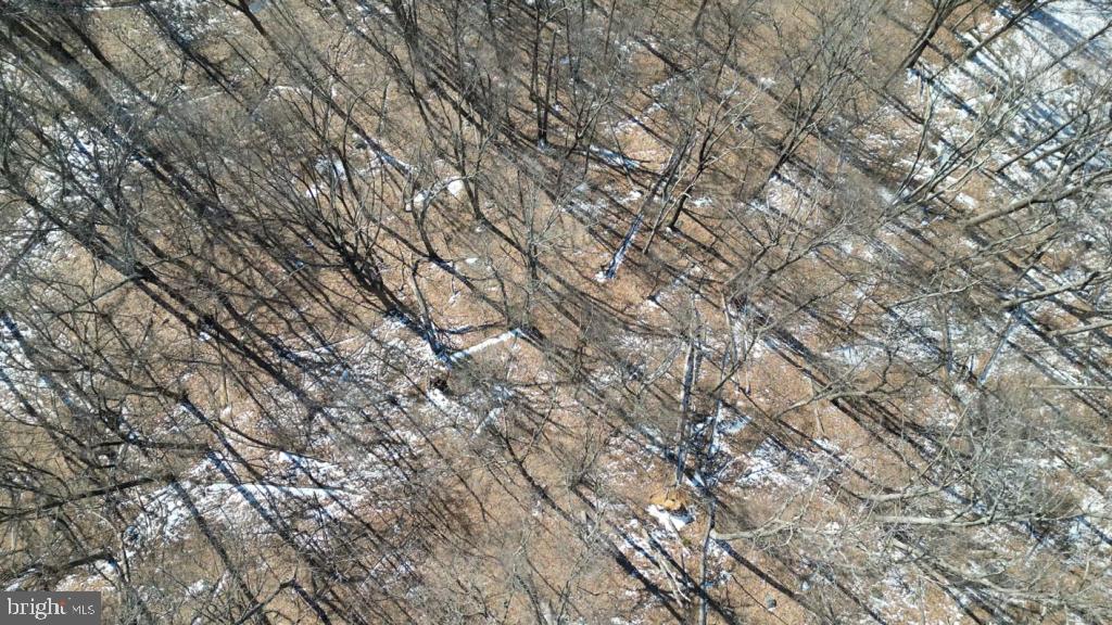1070 GRANNY SMITH RD, LINDEN, Virginia 22642, ,Land,For sale,1070 GRANNY SMITH RD,VAWR2011400 MLS # VAWR2011400