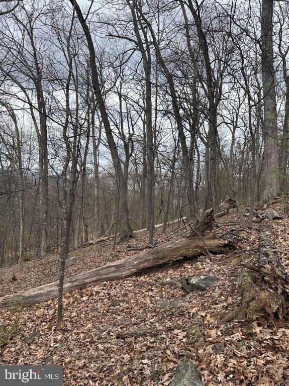 1070 GRANNY SMITH RD, LINDEN, Virginia 22642, ,Land,For sale,1070 GRANNY SMITH RD,VAWR2011400 MLS # VAWR2011400