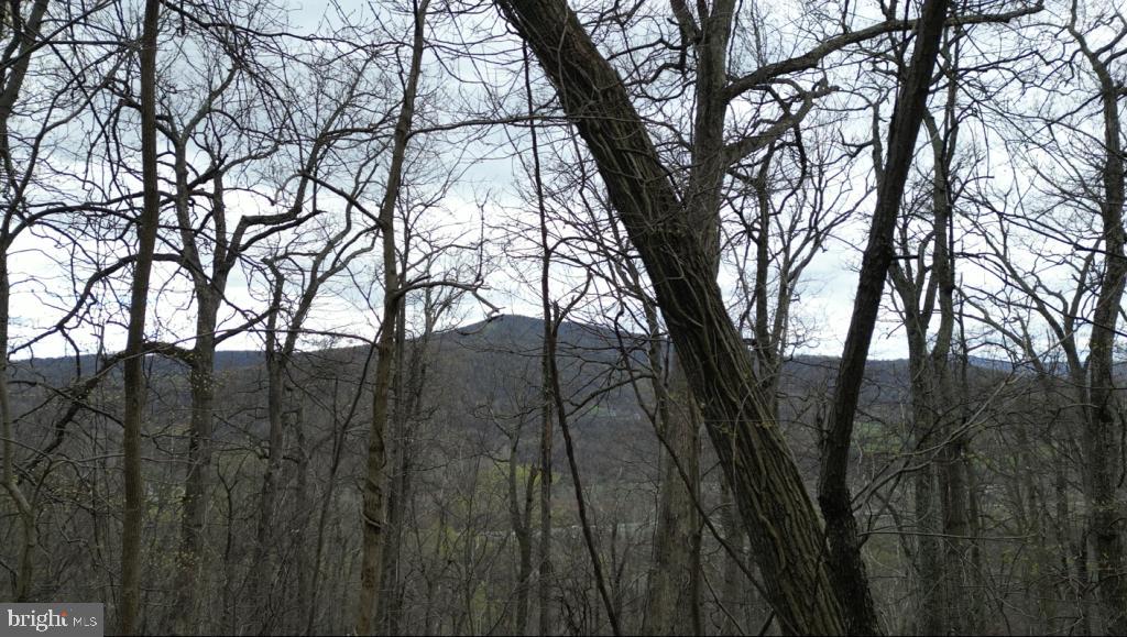 1070 GRANNY SMITH RD, LINDEN, Virginia 22642, ,Land,For sale,1070 GRANNY SMITH RD,VAWR2011400 MLS # VAWR2011400