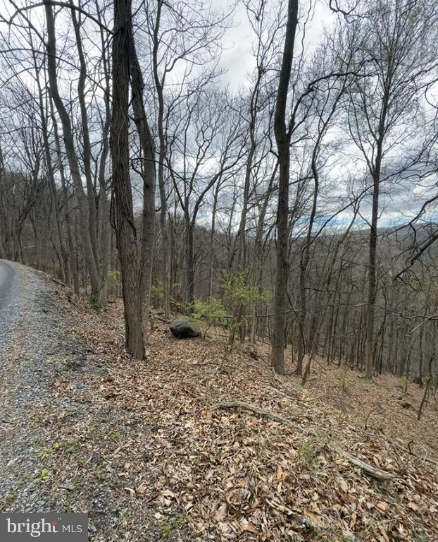 1070 GRANNY SMITH RD, LINDEN, Virginia 22642, ,Land,For sale,1070 GRANNY SMITH RD,VAWR2011400 MLS # VAWR2011400