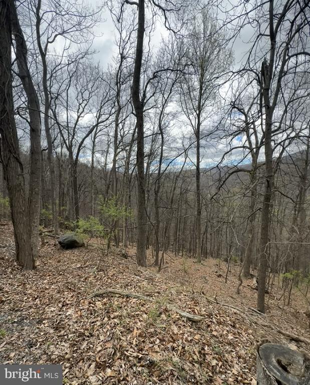 1070 GRANNY SMITH RD, LINDEN, Virginia 22642, ,Land,For sale,1070 GRANNY SMITH RD,VAWR2011400 MLS # VAWR2011400