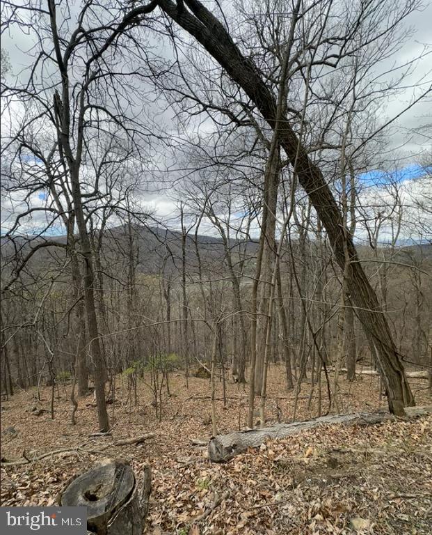 1070 GRANNY SMITH RD, LINDEN, Virginia 22642, ,Land,For sale,1070 GRANNY SMITH RD,VAWR2011400 MLS # VAWR2011400