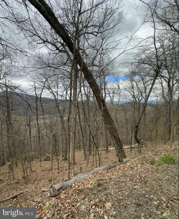 1070 GRANNY SMITH RD, LINDEN, Virginia 22642, ,Land,For sale,1070 GRANNY SMITH RD,VAWR2011400 MLS # VAWR2011400