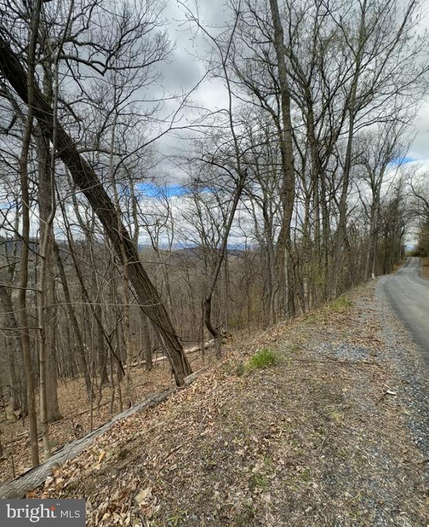 1070 GRANNY SMITH RD, LINDEN, Virginia 22642, ,Land,For sale,1070 GRANNY SMITH RD,VAWR2011400 MLS # VAWR2011400