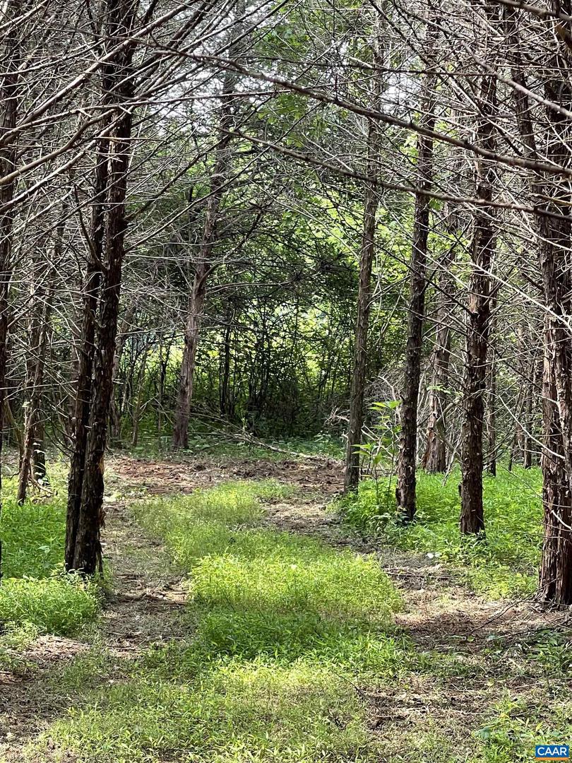 160 HUNTERS PT, NELLYSFORD, Virginia 22958, ,Land,For sale,160 HUNTERS PT,665543 MLS # 665543