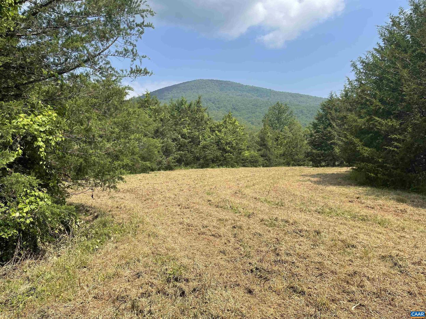 196 HUNTERS PT, NELLYSFORD, Virginia 22958, ,Land,For sale,196 HUNTERS PT,665544 MLS # 665544