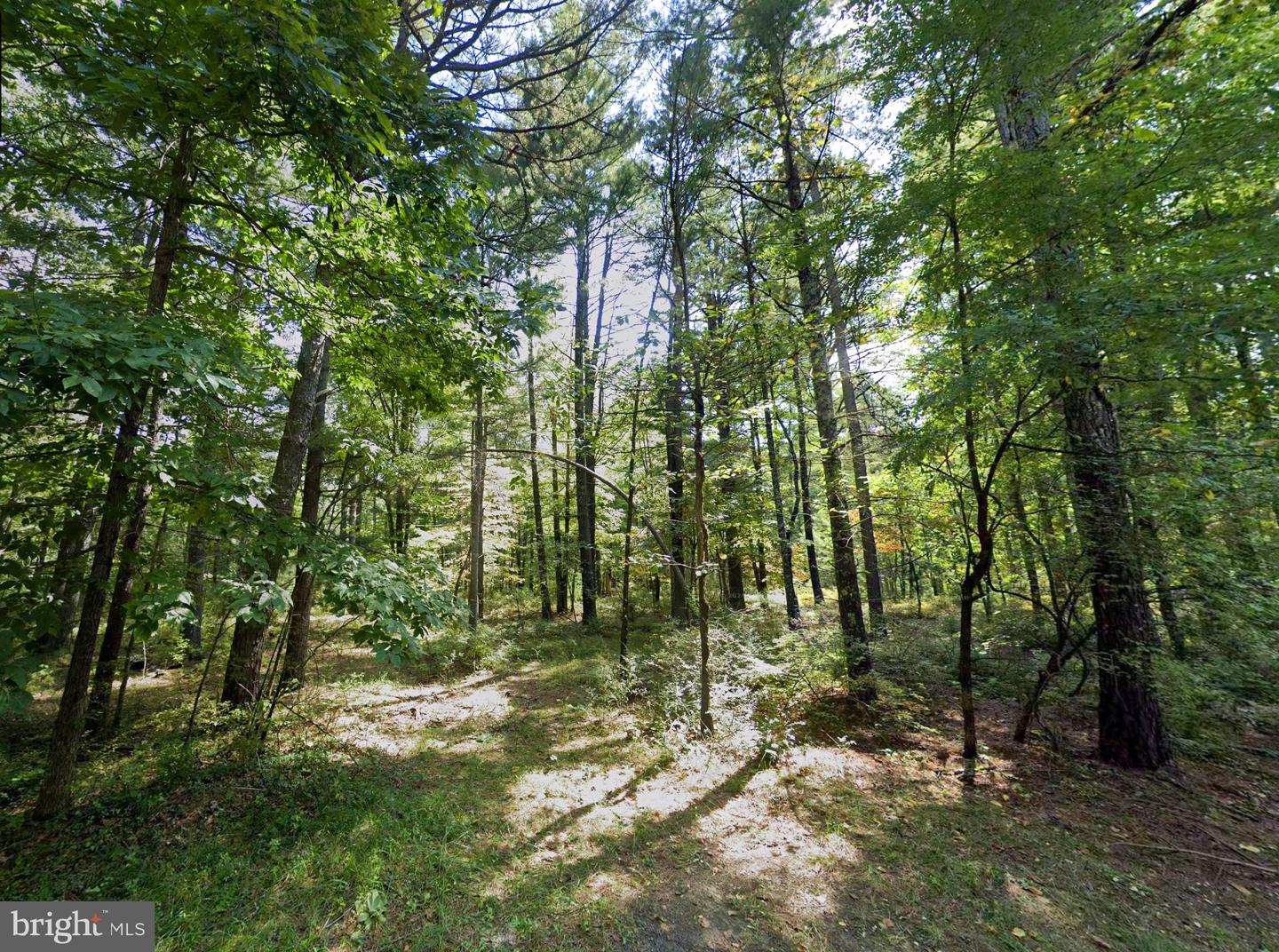 00 SCOONOVER RD, CRAIGSVILLE, Virginia 24430, ,Land,For sale,00 SCOONOVER RD,VAAG2000604 MLS # VAAG2000604