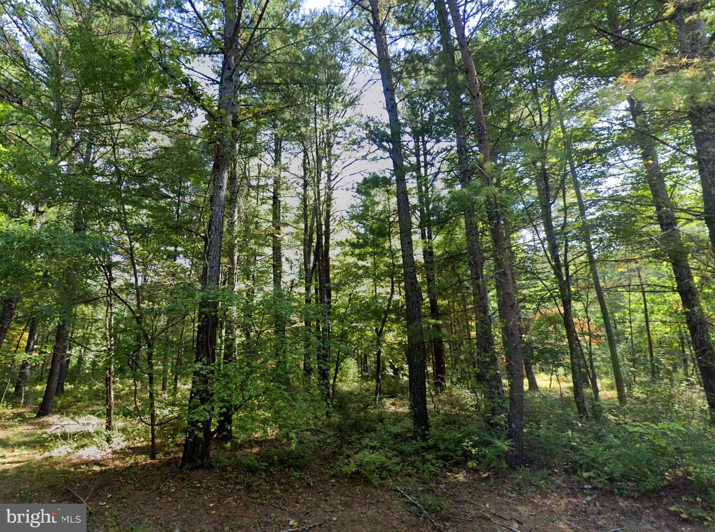 00 SCOONOVER RD, CRAIGSVILLE, Virginia 24430, ,Land,For sale,00 SCOONOVER RD,VAAG2000604 MLS # VAAG2000604