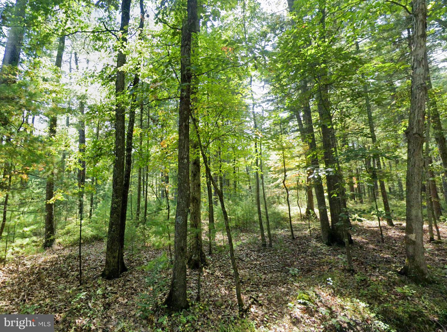 00 SCOONOVER RD, CRAIGSVILLE, Virginia 24430, ,Land,For sale,00 SCOONOVER RD,VAAG2000604 MLS # VAAG2000604