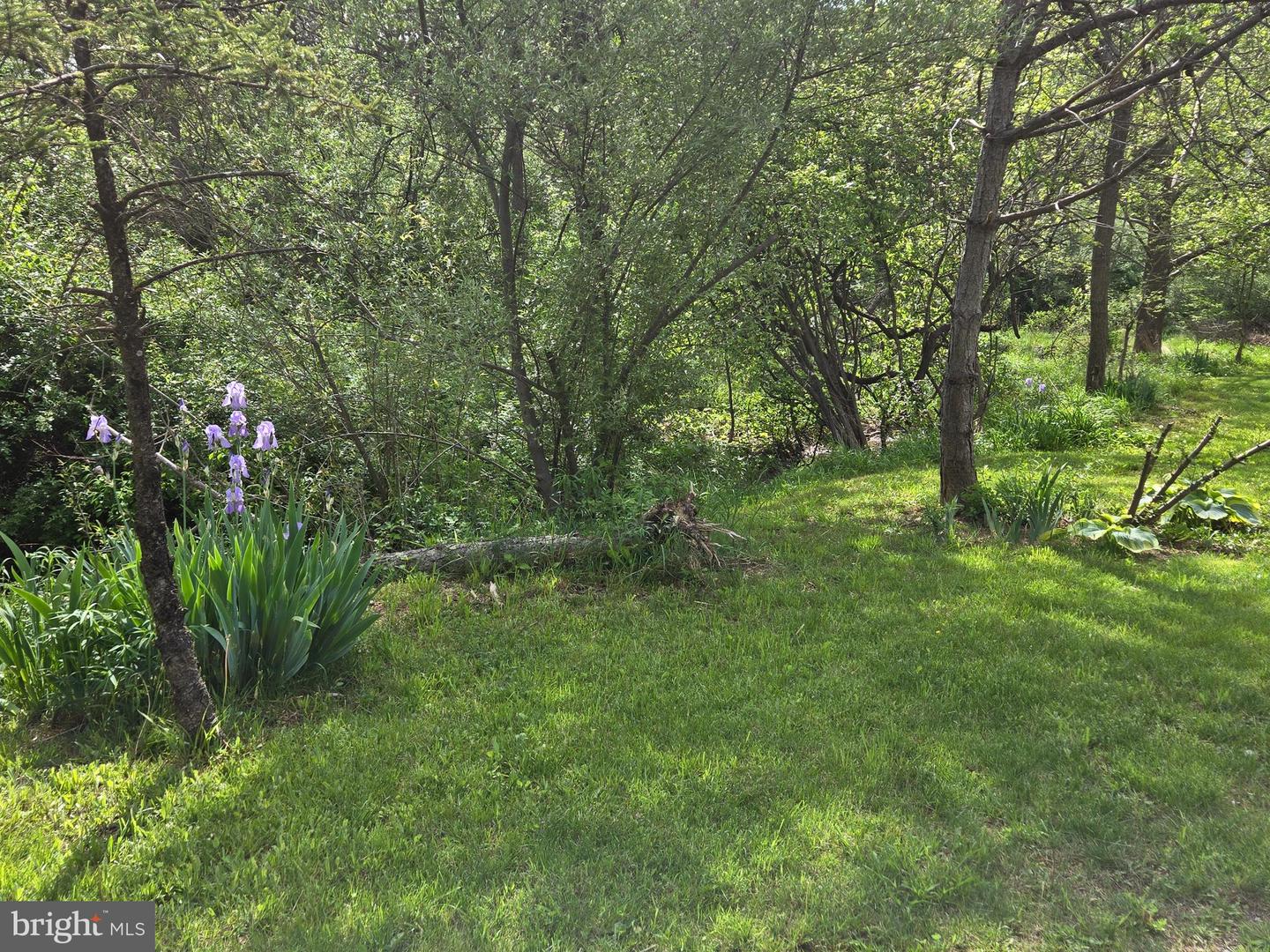 927 S SLEEPY CREEK RD, CROSS JUNCTION, Virginia 22625, 3 Bedrooms Bedrooms, ,2 BathroomsBathrooms,Residential,For sale,927 S SLEEPY CREEK RD,VAFV2034074 MLS # VAFV2034074