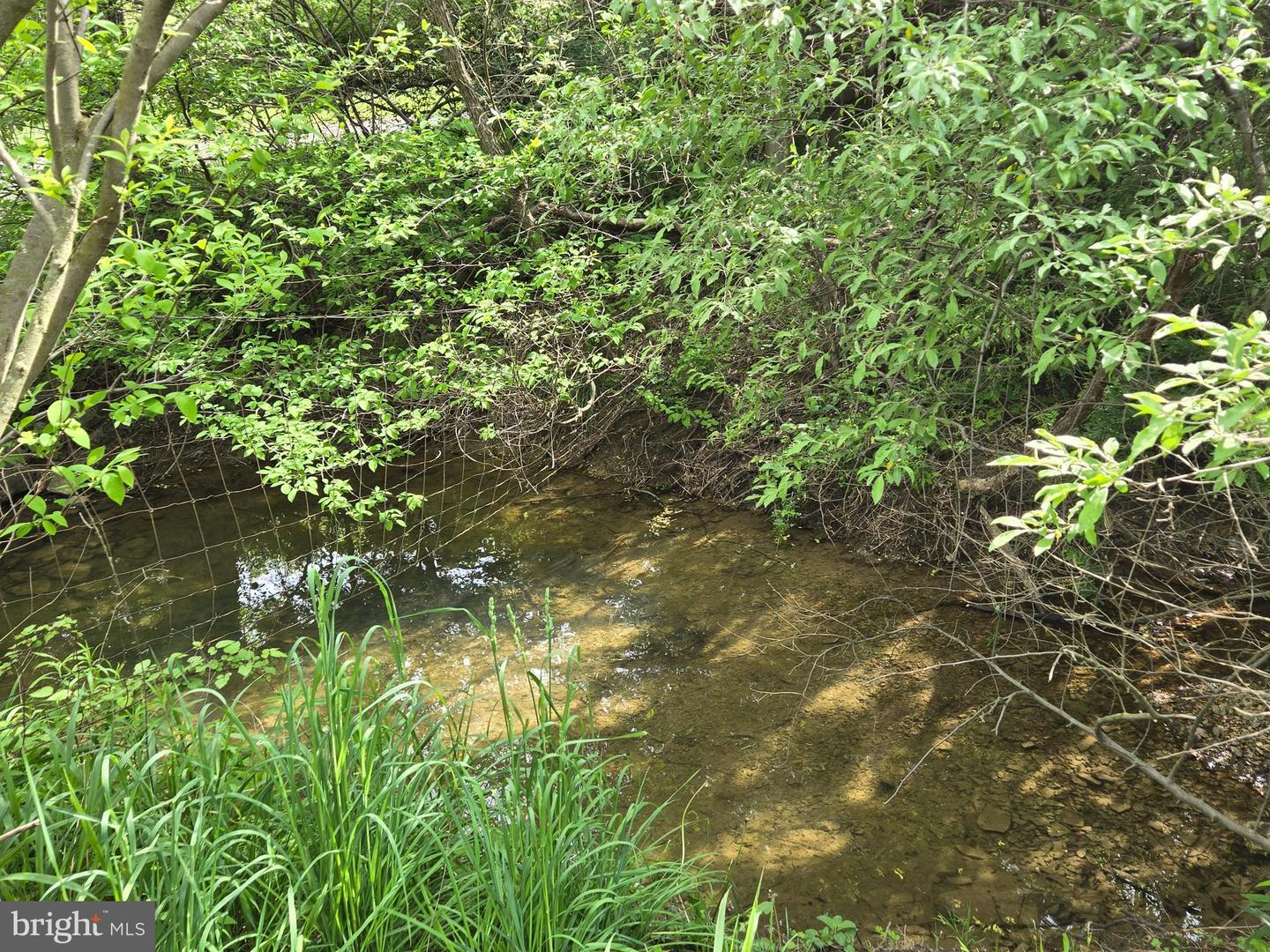 927 S SLEEPY CREEK RD, CROSS JUNCTION, Virginia 22625, 3 Bedrooms Bedrooms, ,2 BathroomsBathrooms,Residential,For sale,927 S SLEEPY CREEK RD,VAFV2034074 MLS # VAFV2034074