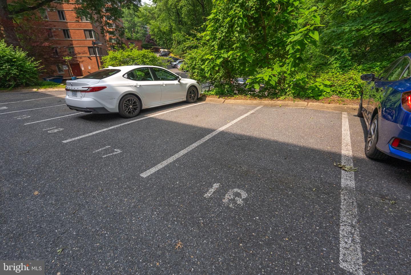 3033 NEW MEXICO AVE NW #305, WASHINGTON, District Of Columbia 20016, 1 Bedroom Bedrooms, ,1 BathroomBathrooms,Residential,For sale,3033 NEW MEXICO AVE NW #305,DCDC2200252 MLS # DCDC2200252