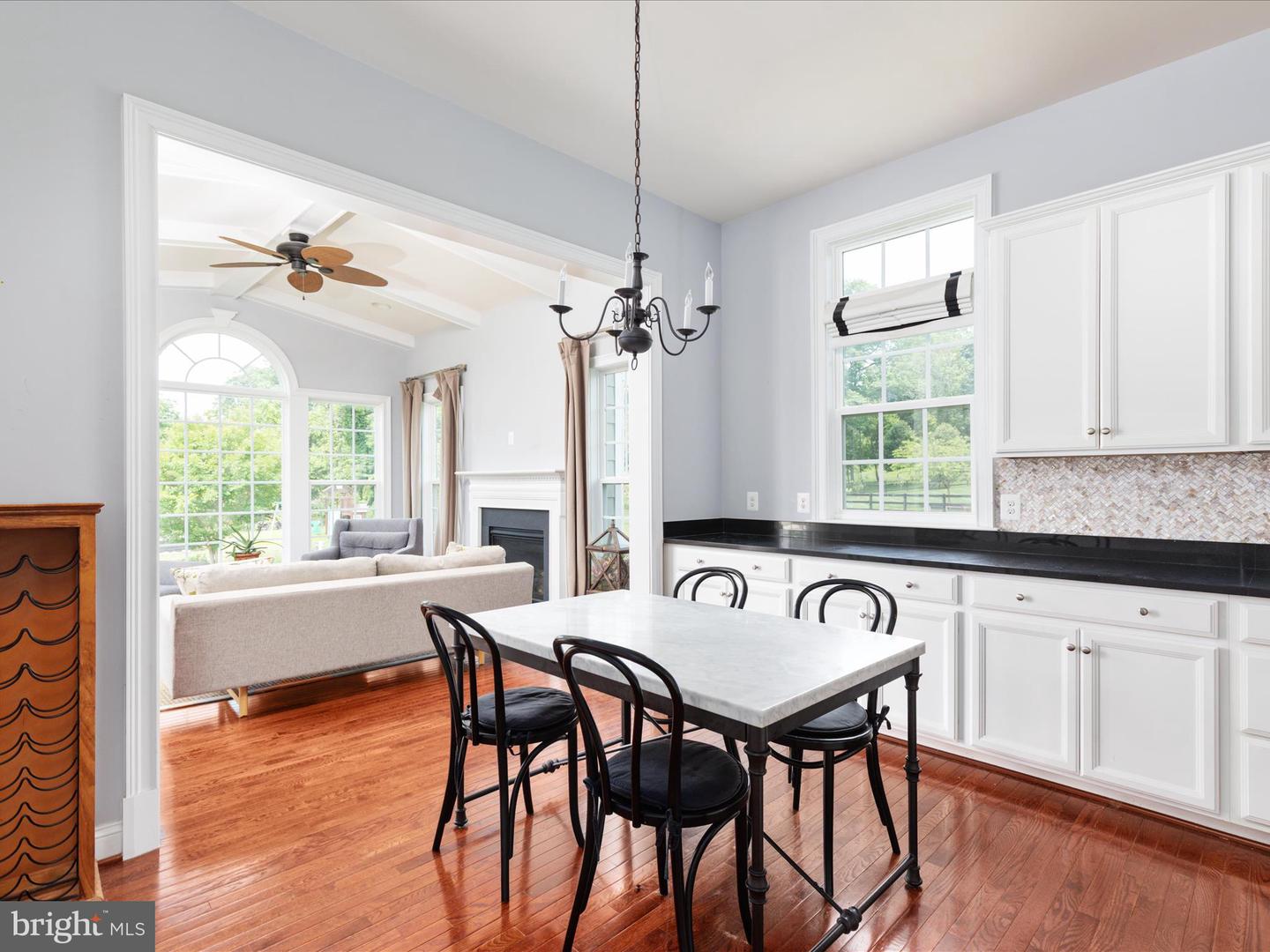 18238 WILD RASPBERRY DR, PURCELLVILLE, Virginia 20132, 4 Bedrooms Bedrooms, ,3 BathroomsBathrooms,Residential,For sale,18238 WILD RASPBERRY DR,VALO2097290 MLS # VALO2097290