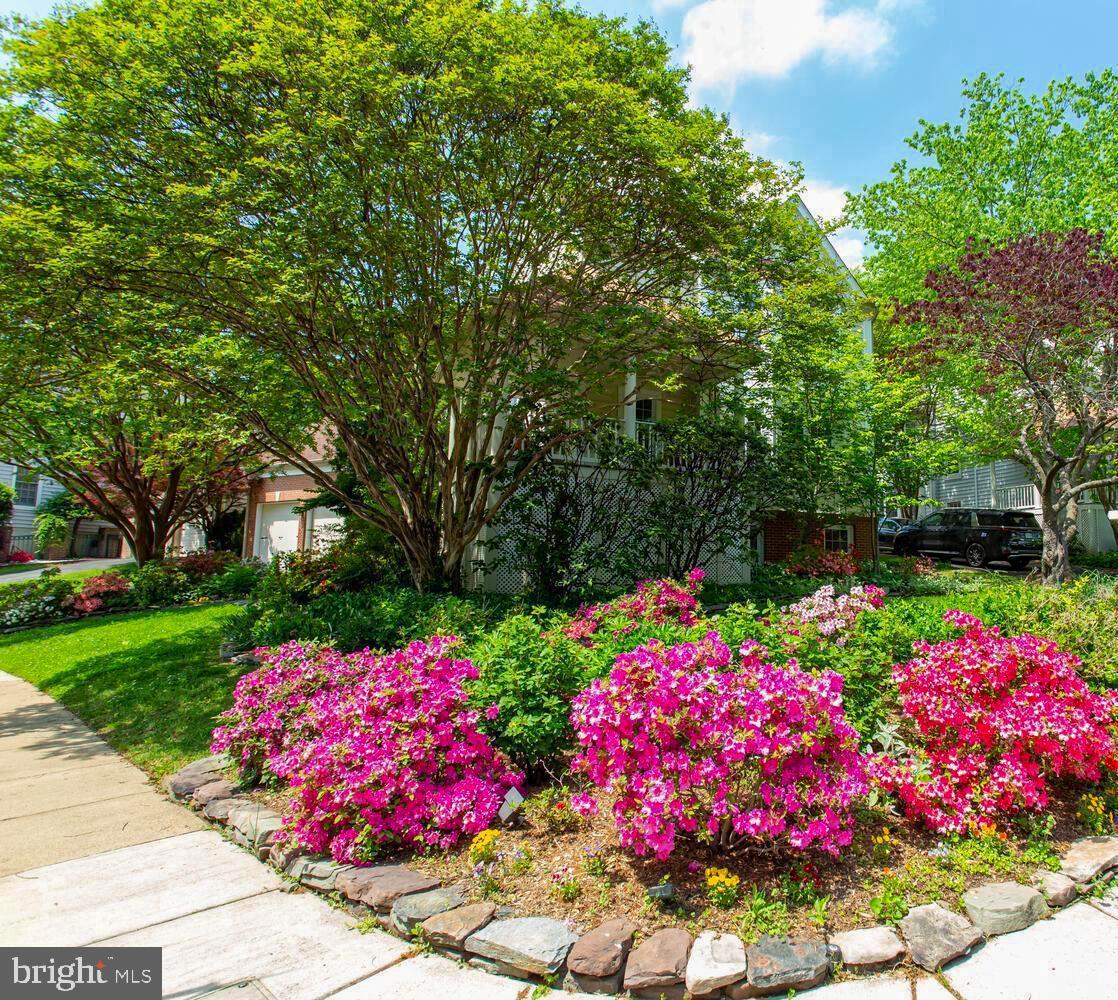 1201 DARTMOUTH RD, ALEXANDRIA, Virginia 22314, 4 Bedrooms Bedrooms, 13 Rooms Rooms,3 BathroomsBathrooms,Residential,For sale,1201 DARTMOUTH RD,VAAX2045650 MLS # VAAX2045650