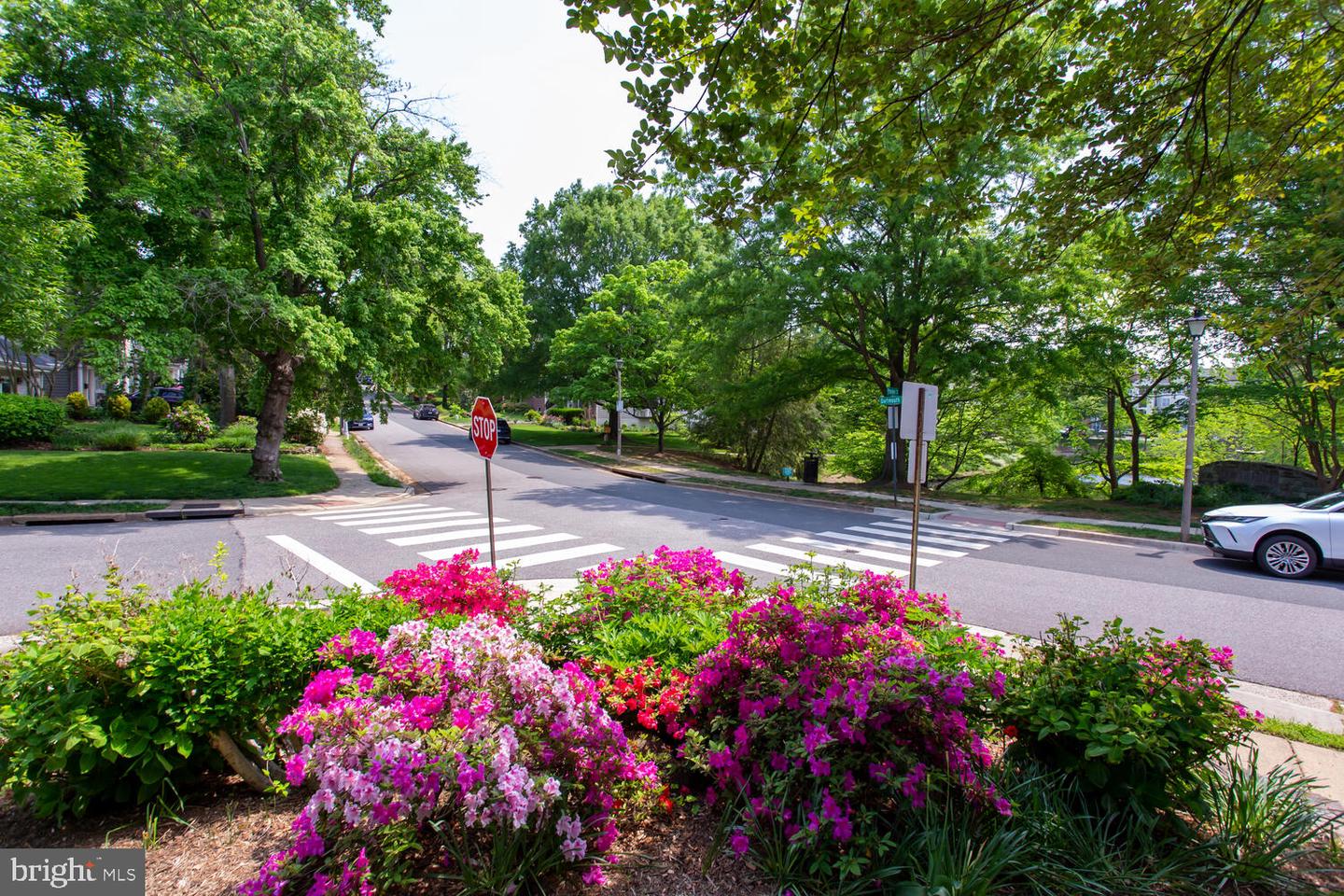 1201 DARTMOUTH RD, ALEXANDRIA, Virginia 22314, 4 Bedrooms Bedrooms, 13 Rooms Rooms,3 BathroomsBathrooms,Residential,For sale,1201 DARTMOUTH RD,VAAX2045650 MLS # VAAX2045650