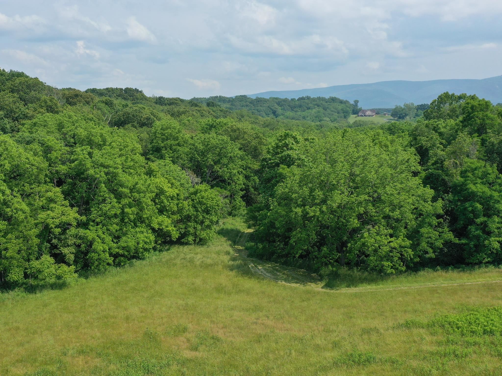 TBD STUARTS DRAFT HWY, STAUNTON, Virginia 24401, ,Land,TBD STUARTS DRAFT HWY,665560 MLS # 665560