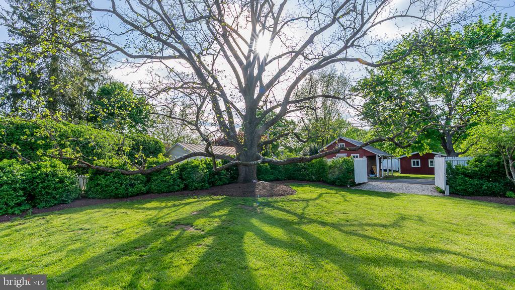 111 S MAIN ST, BRIDGEWATER, Virginia 22812, 3 Bedrooms Bedrooms, ,3 BathroomsBathrooms,Residential,For sale,111 S MAIN ST,VARO2002332 MLS # VARO2002332