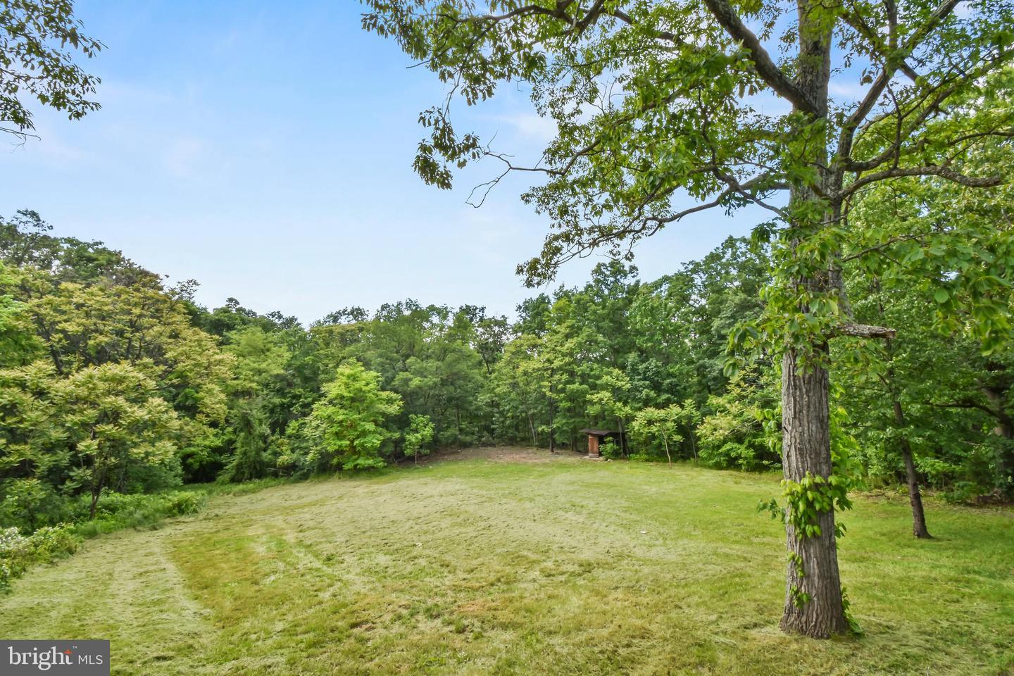 790 MCDONALD RD, WINCHESTER, Virginia 22602, 3 Bedrooms Bedrooms, 5 Rooms Rooms,2 BathroomsBathrooms,Residential,For sale,790 MCDONALD RD,VAFV2034386 MLS # VAFV2034386