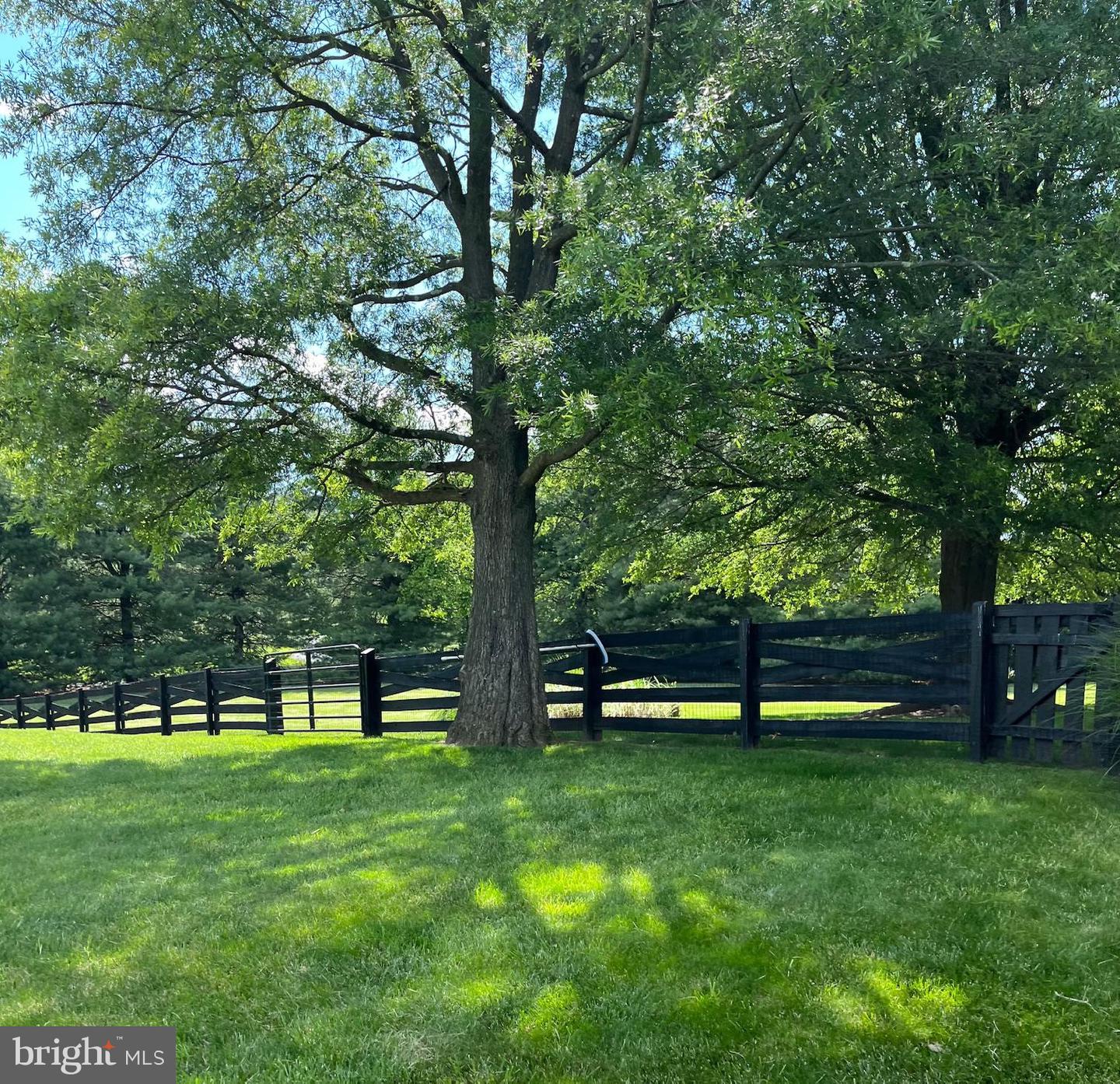 241 CLAYHILL DR, WINCHESTER, Virginia 22602, 5 Bedrooms Bedrooms, ,3 BathroomsBathrooms,Residential,For sale,241 CLAYHILL DR,VAFV2034414 MLS # VAFV2034414
