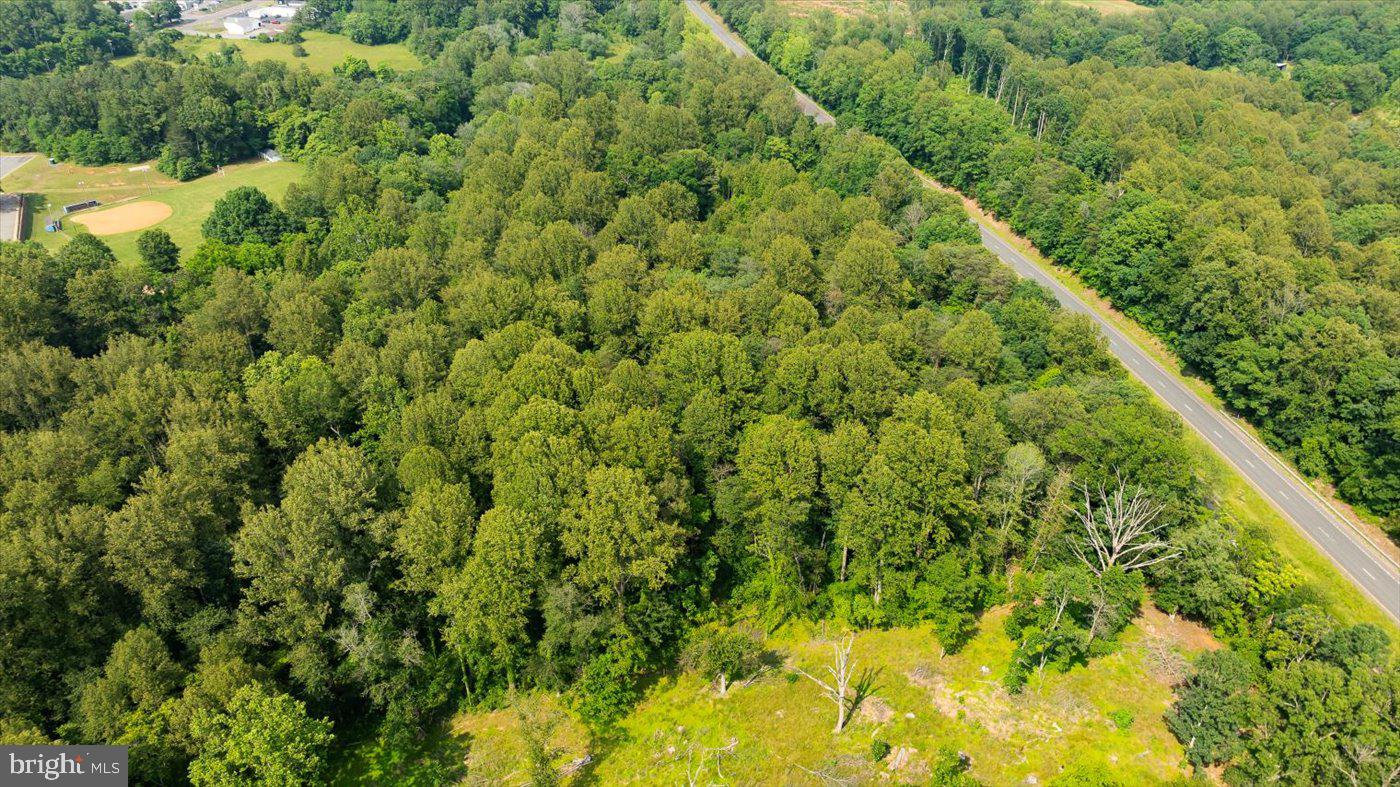 TBD SEMINOLE TRL, MADISON, Virginia 22727, ,Land,For sale,TBD SEMINOLE TRL,VAMA2002286 MLS # VAMA2002286