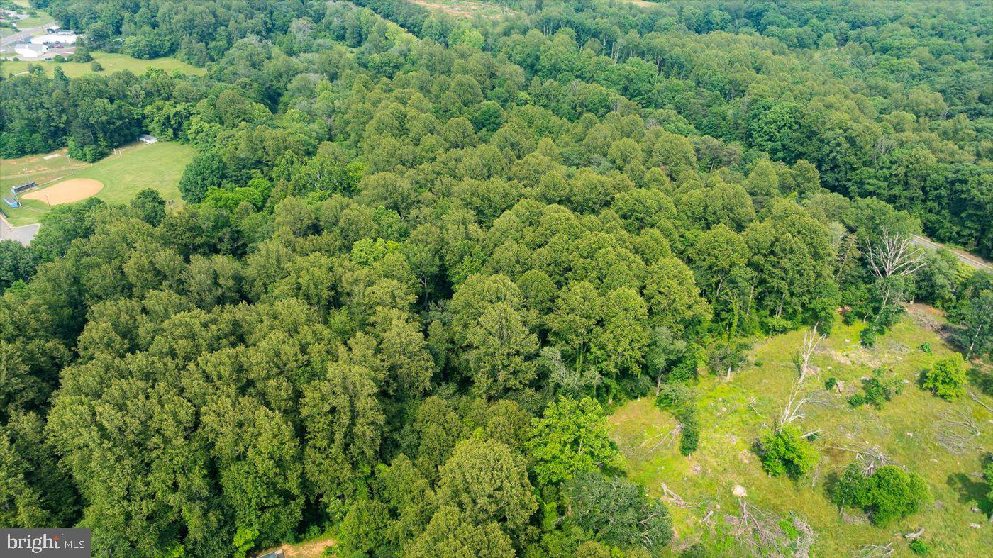 TBD SEMINOLE TRL, MADISON, Virginia 22727, ,Land,For sale,TBD SEMINOLE TRL,VAMA2002286 MLS # VAMA2002286