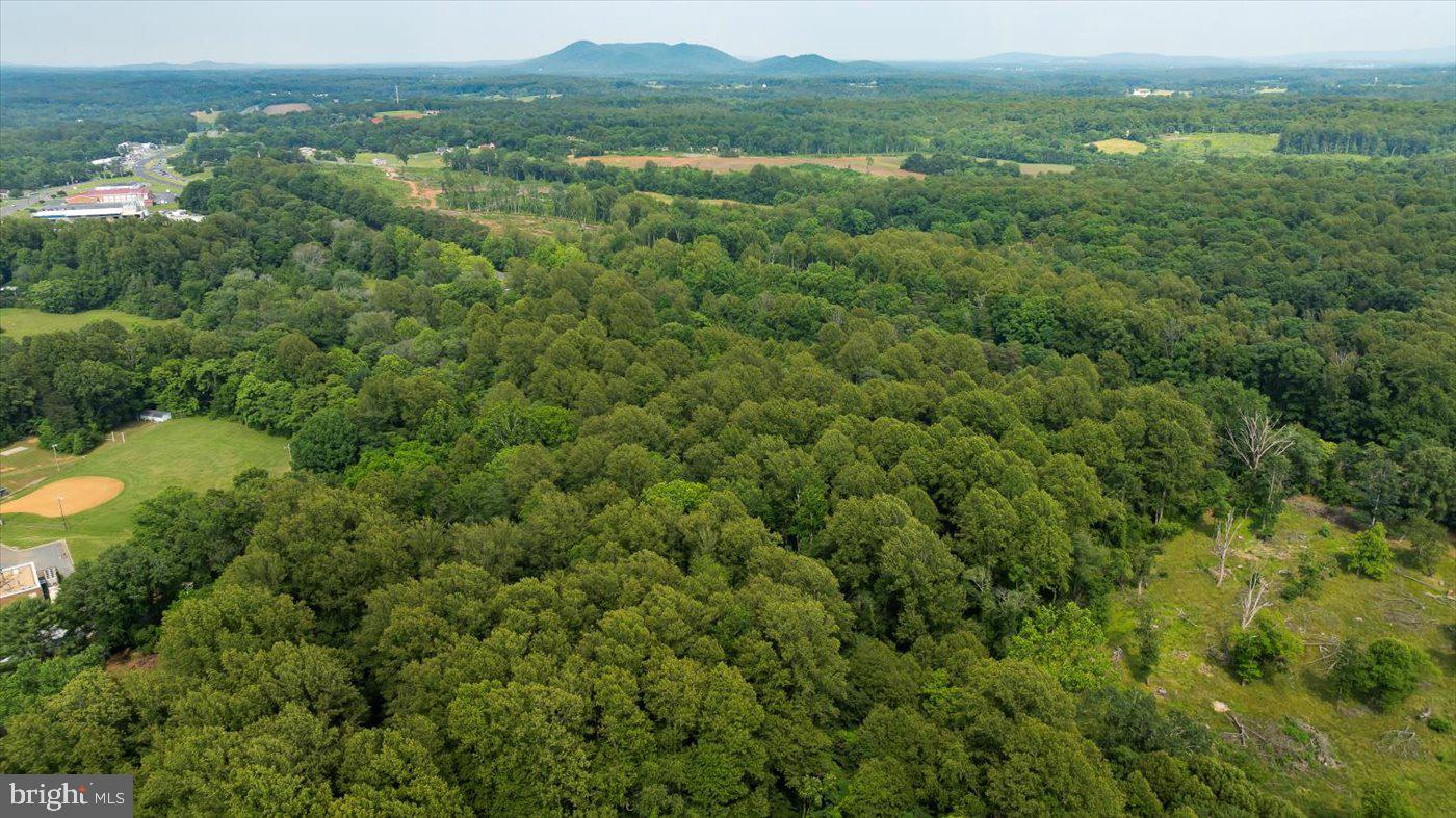TBD SEMINOLE TRL, MADISON, Virginia 22727, ,Land,For sale,TBD SEMINOLE TRL,VAMA2002286 MLS # VAMA2002286