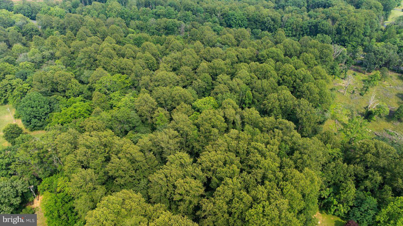 TBD SEMINOLE TRL, MADISON, Virginia 22727, ,Land,For sale,TBD SEMINOLE TRL,VAMA2002286 MLS # VAMA2002286