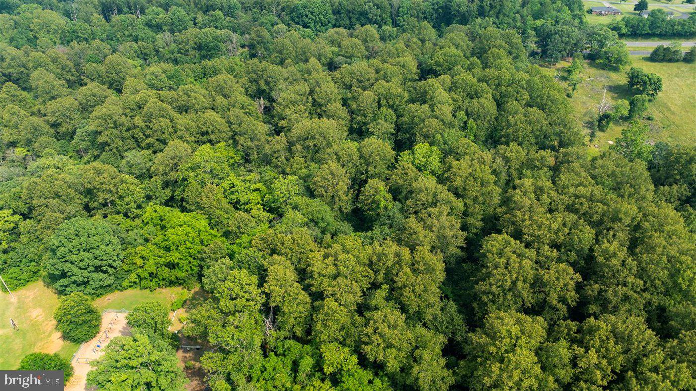 TBD SEMINOLE TRL, MADISON, Virginia 22727, ,Land,For sale,TBD SEMINOLE TRL,VAMA2002286 MLS # VAMA2002286