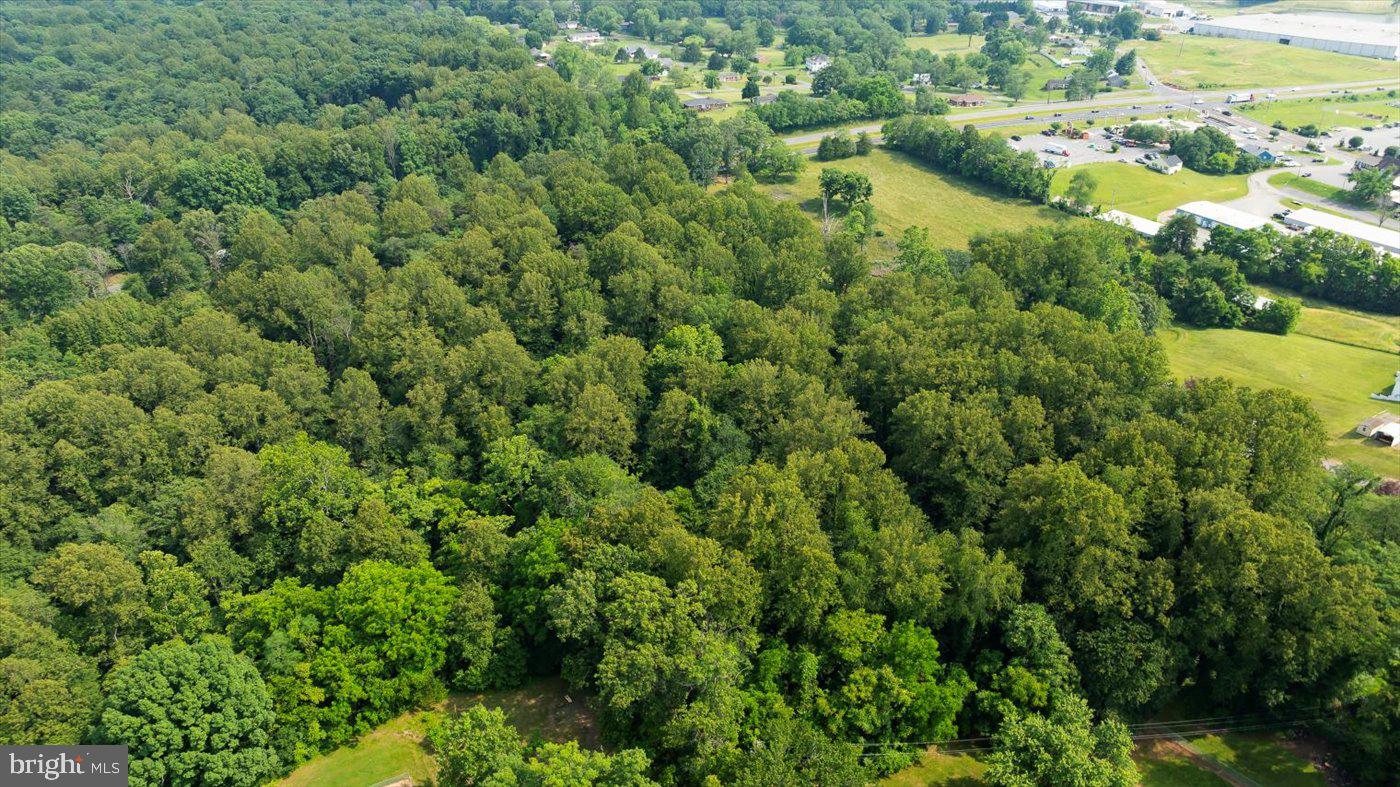 TBD SEMINOLE TRL, MADISON, Virginia 22727, ,Land,For sale,TBD SEMINOLE TRL,VAMA2002286 MLS # VAMA2002286