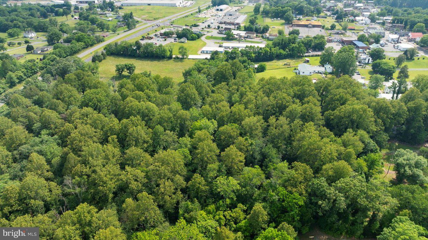 TBD SEMINOLE TRL, MADISON, Virginia 22727, ,Land,For sale,TBD SEMINOLE TRL,VAMA2002286 MLS # VAMA2002286