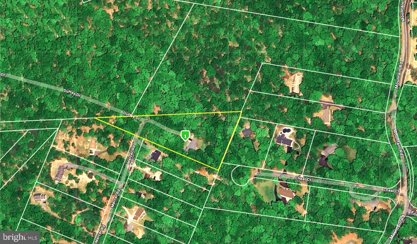 1399 MERCER RD, HAYMARKET, Virginia 20169, 3 Bedrooms Bedrooms, ,3 BathroomsBathrooms,Residential,For sale,1399 MERCER RD,VAPW2096006 MLS # VAPW2096006