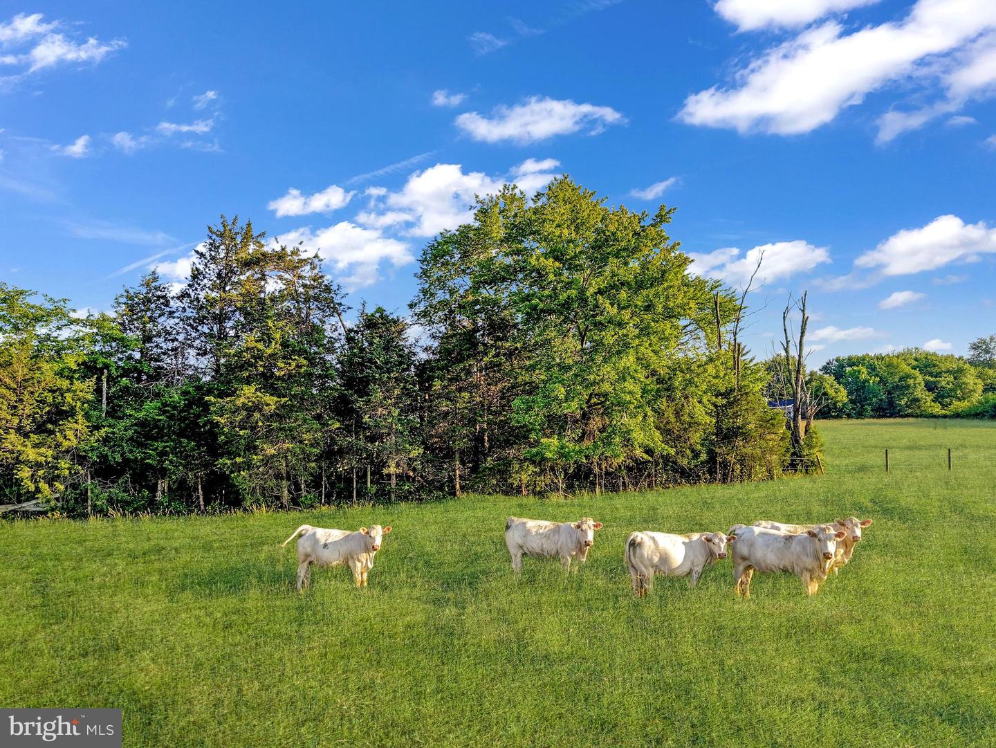 7787 GREENWICH RD, CATLETT, Virginia 20119, 6 Bedrooms Bedrooms, ,3 BathroomsBathrooms,Residential,For sale,7787 GREENWICH RD,VAFQ2016898 MLS # VAFQ2016898