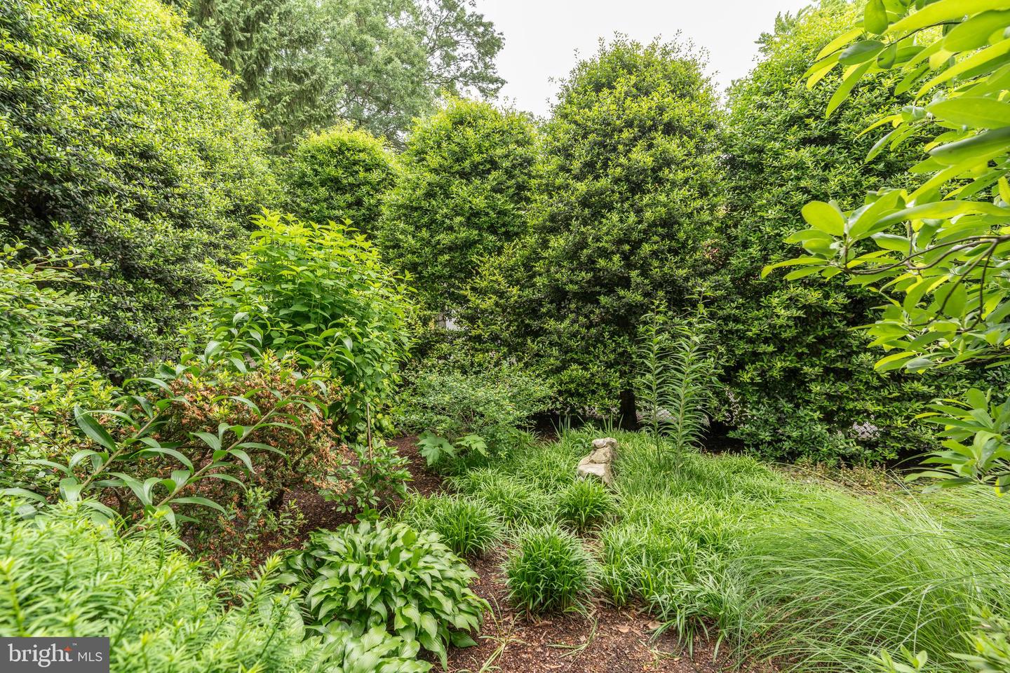 5045 RENO RD NW, WASHINGTON, District Of Columbia 20008, 4 Bedrooms Bedrooms, ,3 BathroomsBathrooms,Residential,For sale,5045 RENO RD NW,DCDC2203894 MLS # DCDC2203894