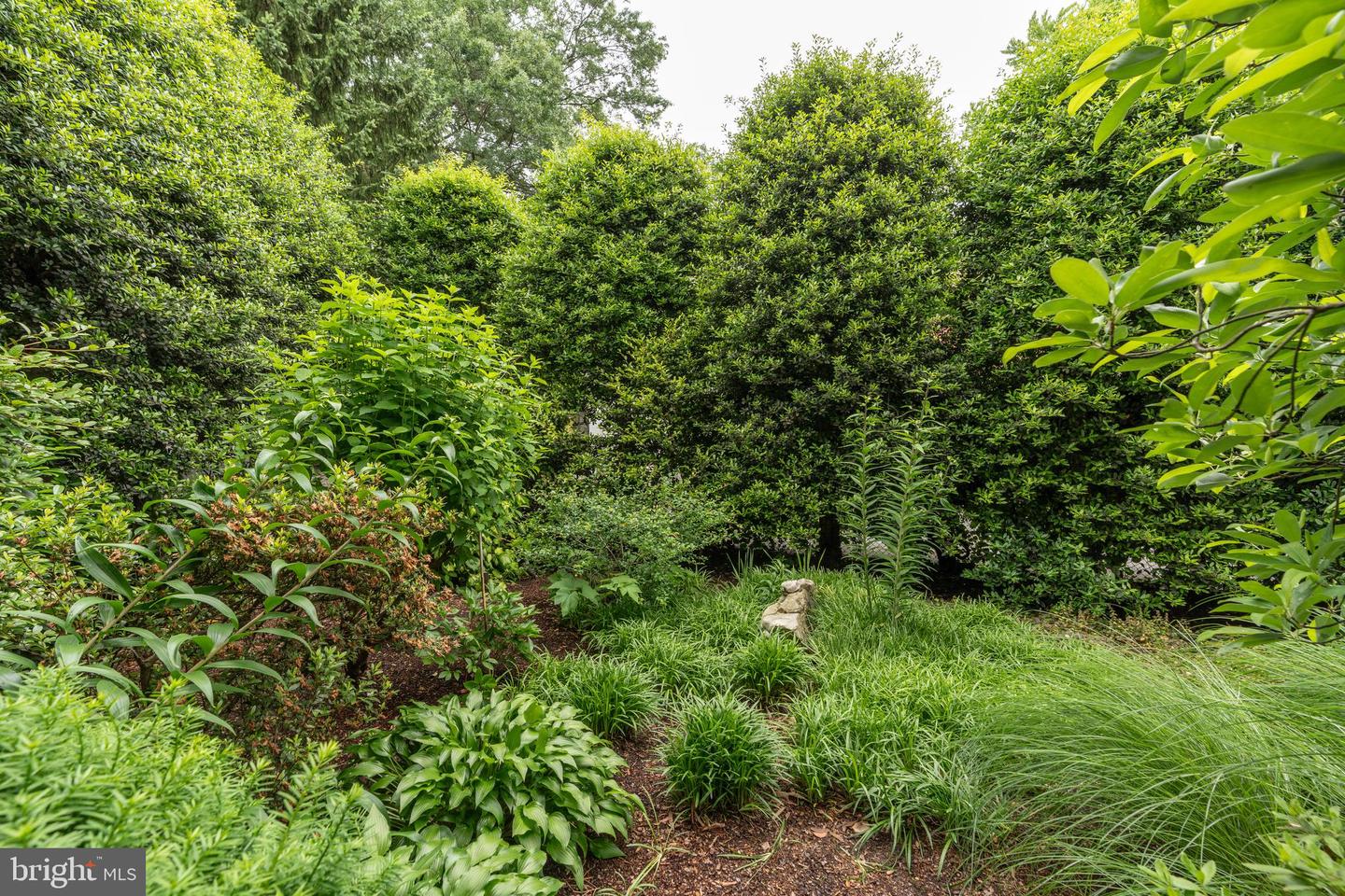 5045 RENO RD NW, WASHINGTON, District Of Columbia 20008, 4 Bedrooms Bedrooms, ,3 BathroomsBathrooms,Residential,For sale,5045 RENO RD NW,DCDC2203894 MLS # DCDC2203894