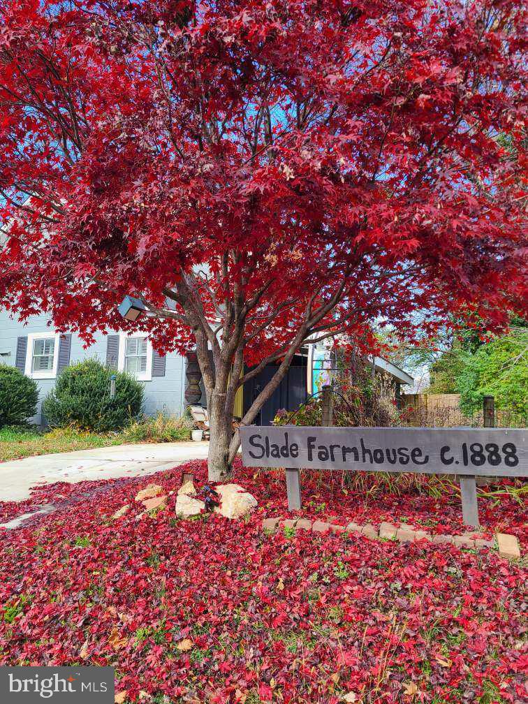 7004 LEE PARK CT, FALLS CHURCH, Virginia 22042, 3 Bedrooms Bedrooms, ,2 BathroomsBathrooms,Residential,For sale,7004 LEE PARK CT,VAFX2245296 MLS # VAFX2245296