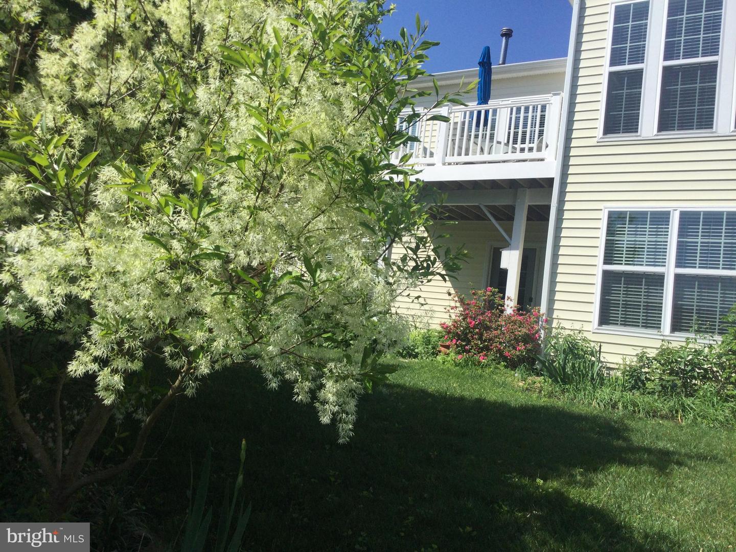 9 BRANT CT, FREDERICKSBURG, Virginia 22406, 3 Bedrooms Bedrooms, ,3 BathroomsBathrooms,Residential,For sale,9 BRANT CT,VAST2039532 MLS # VAST2039532