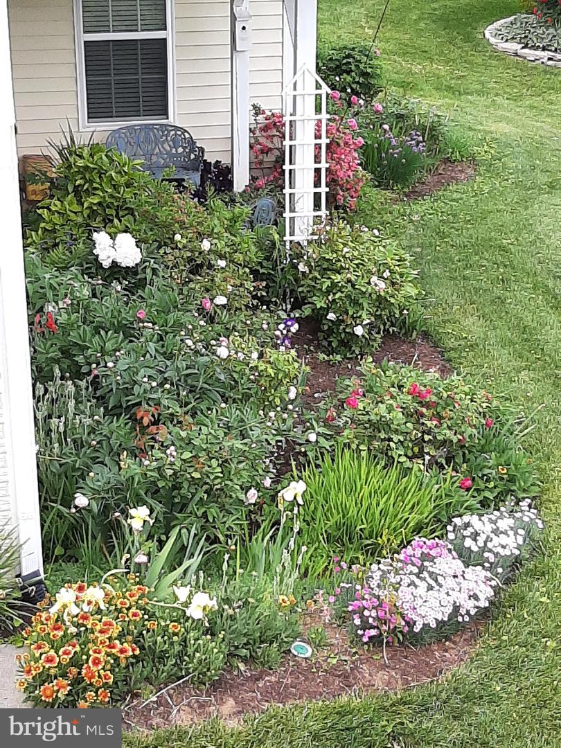 9 BRANT CT, FREDERICKSBURG, Virginia 22406, 3 Bedrooms Bedrooms, ,3 BathroomsBathrooms,Residential,For sale,9 BRANT CT,VAST2039532 MLS # VAST2039532 9 BRANT CT, FREDERICKSBURG, Virginia 22406, 3 Bedrooms Bedrooms, ,3 BathroomsBathrooms,Residential,For sale,9 BRANT CT,VAST2039532 MLS # VAST2039532