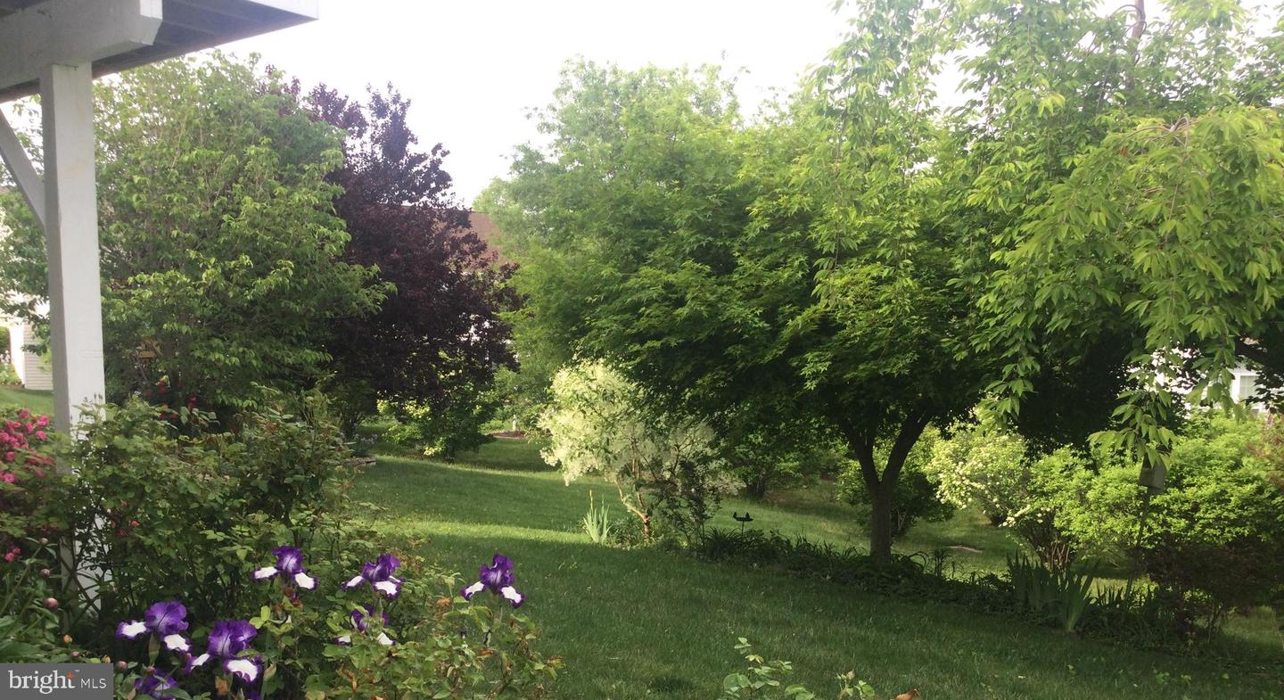 9 BRANT CT, FREDERICKSBURG, Virginia 22406, 3 Bedrooms Bedrooms, ,3 BathroomsBathrooms,Residential,For sale,9 BRANT CT,VAST2039532 MLS # VAST2039532 9 BRANT CT, FREDERICKSBURG, Virginia 22406, 3 Bedrooms Bedrooms, ,3 BathroomsBathrooms,Residential,For sale,9 BRANT CT,VAST2039532 MLS # VAST2039532