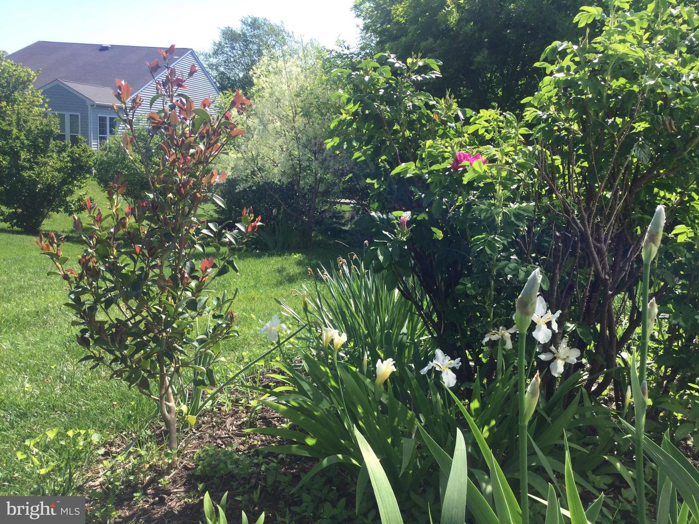 9 BRANT CT, FREDERICKSBURG, Virginia 22406, 3 Bedrooms Bedrooms, ,3 BathroomsBathrooms,Residential,For sale,9 BRANT CT,VAST2039532 MLS # VAST2039532 9 BRANT CT, FREDERICKSBURG, Virginia 22406, 3 Bedrooms Bedrooms, ,3 BathroomsBathrooms,Residential,For sale,9 BRANT CT,VAST2039532 MLS # VAST2039532