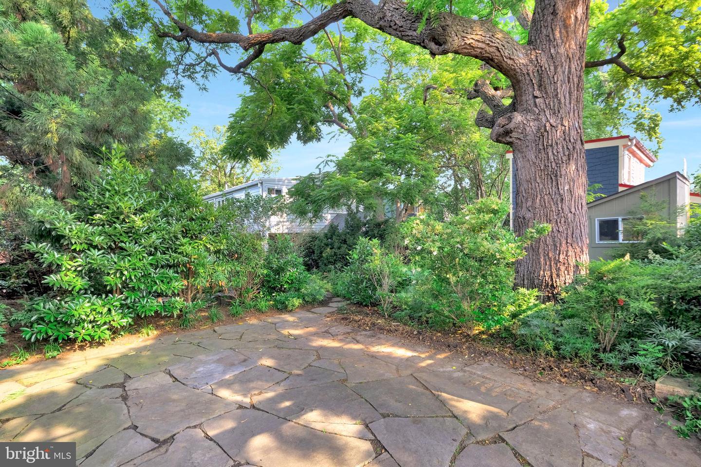323 N PATRICK ST, ALEXANDRIA, Virginia 22314, 3 Bedrooms Bedrooms, ,2 BathroomsBathrooms,Residential,For sale,323 N PATRICK ST,VAAX2046210 MLS # VAAX2046210