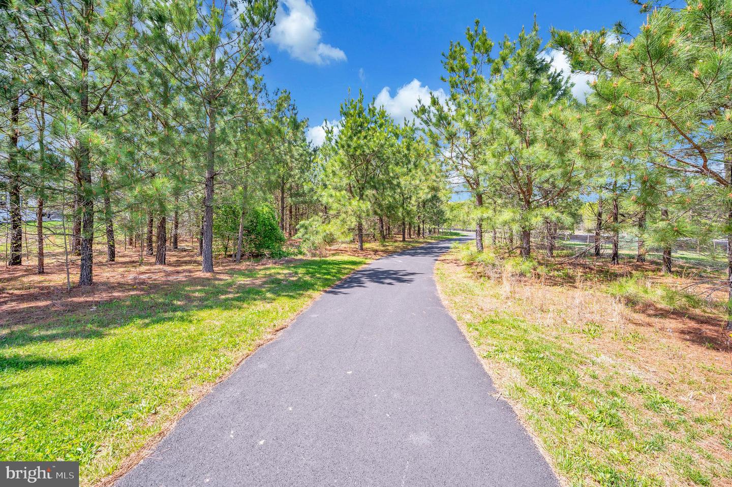 6259 BOBCAT LN, KING GEORGE, Virginia 22485, 3 Bedrooms Bedrooms, ,2 BathroomsBathrooms,Residential,For sale,6259 BOBCAT LN,VAKG2006552 MLS # VAKG2006552