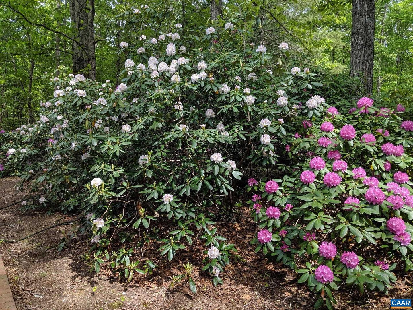 2034 BOBWHITE CT, CHARLOTTESVILLE, Virginia 22901, 4 Bedrooms Bedrooms, ,3 BathroomsBathrooms,Residential,For sale,2034 BOBWHITE CT,665455 MLS # 665455