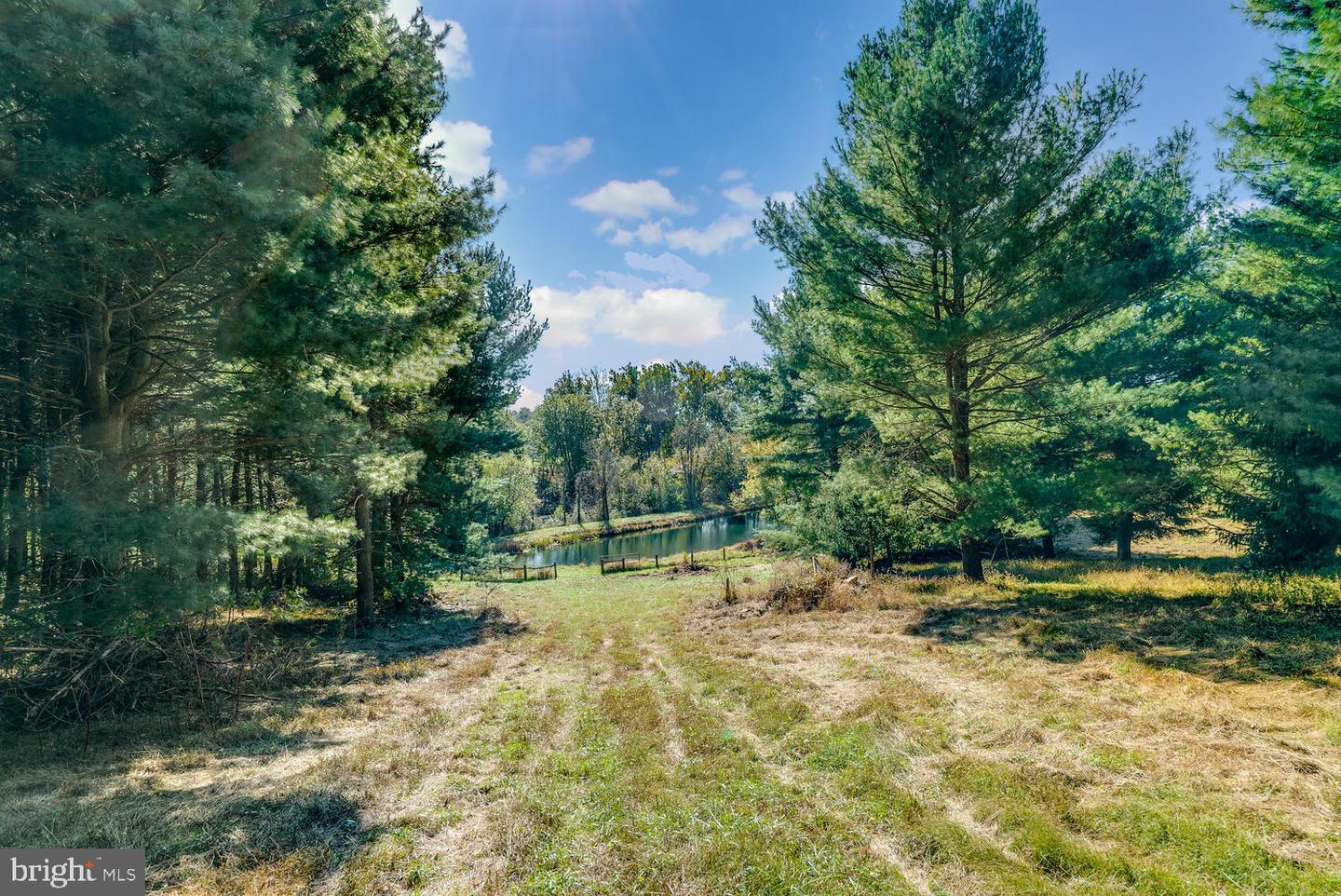 35175 SNICKERSVILLE TPKE, ROUND HILL, Virginia 20141, 4 Bedrooms Bedrooms, ,3 BathroomsBathrooms,Residential,For sale,35175 SNICKERSVILLE TPKE,VALO2099006 MLS # VALO2099006